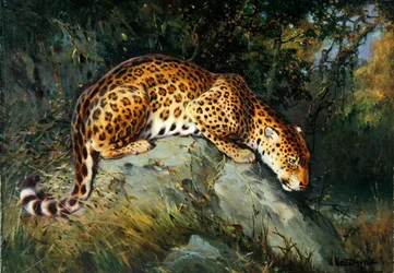 Um Leopardo agachado sobre uma rocha (óleo sobre tela colocado a bordo)