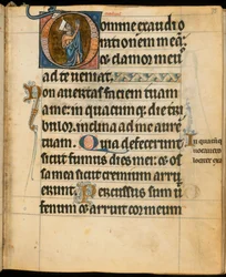 Acrescentar. 49999, f.75 
