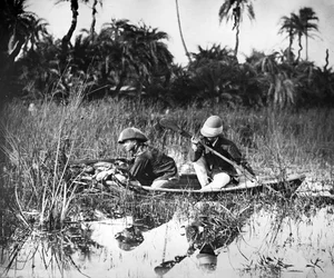 Tiro de Pato na Índia, c.1878