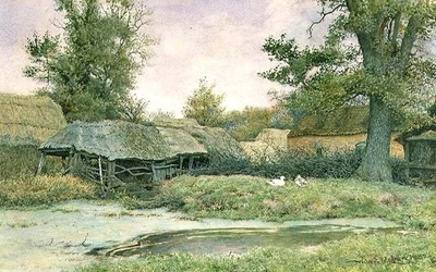 Estaleiro com lago de patos e patos