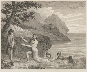 Courtier e Proteus