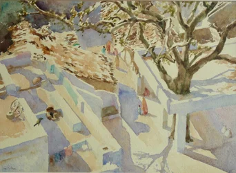 Vida na aldeia 697, Rajasthan