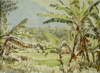 740 Bananeiras, Ramboda