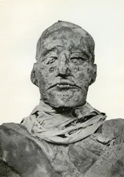 Cabeça da múmia de Ramsés III, antigo faraó egípcio da 20a dinastia, c1156 aC 1926