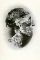 Cabeça da múmia de Ramsés II, faraó egípcio antigo da 19a dinastia, c1212 aC 1926.