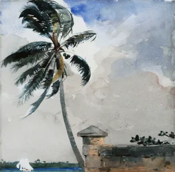 Uma brisa tropical, Nassau, 1889-90