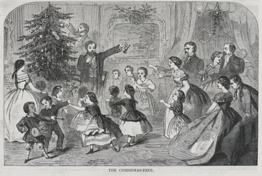 Natal - Coletando Evergreens A Árvore de Natal