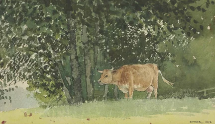 Vaca no pasto