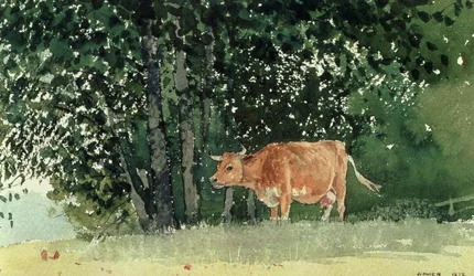 Vaca no pasto, 1878