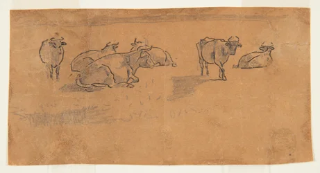 Vacas em um pasto