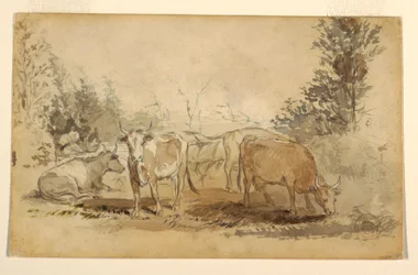Desenho, Quatro vacas a pastar num pasto, ca. 1855-60