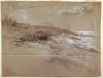 Desenho, Costa marítima com pinheiros, Prout