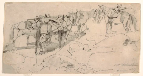 Desenho, Estudo para "Mount Washington" e "The Summit of Mt. Washington", 1869