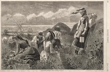 Recolhendo Bagas, 1874.