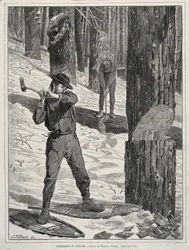 Madeira pesada no inverno, 1871.