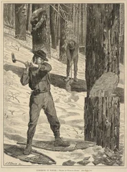 Lumbering in Winter, de Every Saturday: A Journal of Choice Reading, 28 de janeiro de 1871