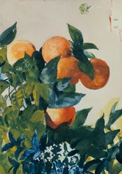Laranjas em um galho, 1885