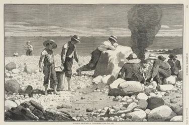 Esboços à beira-mar - Uma assada de amêijoas