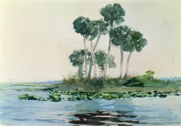Rio São João, Flórida, 1890