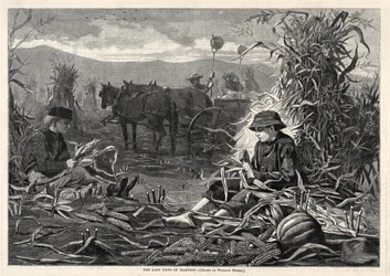 Os Últimos Dias da Colheita, 1873.