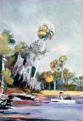 A pilha de conchas, 1904