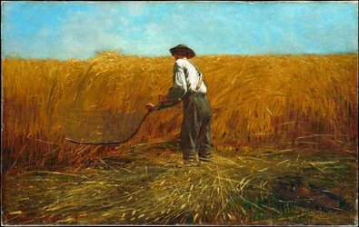 O veterano num novo campo