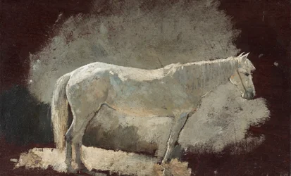 Égua branca, c. 1868