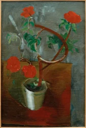 Flores vermelhas