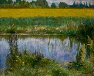 Campo de Lupin