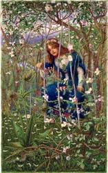 O Briar Wood