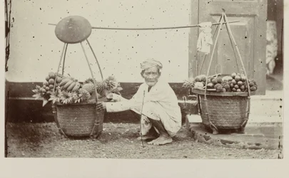 Portador javanês com frutas