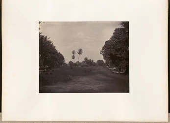 [Trabalhos de pavimentação da estrada em Prapatan, Batavia]
