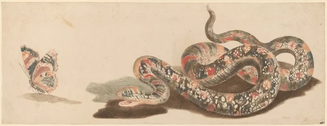 Serpente e Borboleta