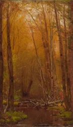 As bétulas de Catskills