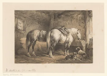 Dois cavalos e cães num estábulo