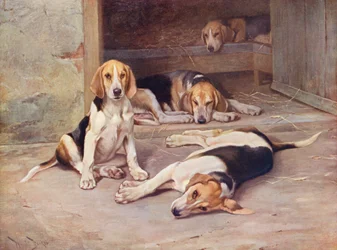 Dias do cachorro (litografia a cores)