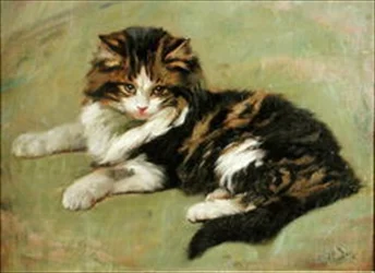 Estudo de um gato (óleo a bordo)
