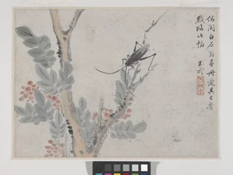 Insecto e árvore depois de Shen Zhou (tinta e cor sobre papel)