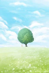 Campo de Verão de Lone Tree