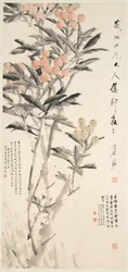 Pipa (Nêsperas)