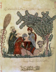 Abu Zayd, Al-Harrith, um camelo reclinado e uma figura