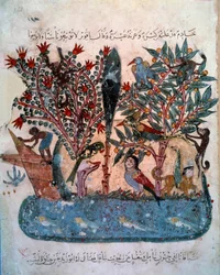 A misteriosa ilha povoada com animais estranhos Miniatura tirada do "Maqamat" (Seances) por Abu Mohammed al-Kasim ibn Ali Hariri (ou Al-Hariri ou Al Hariri) (1054-1122) alistada por Yahya Mahmud al-Wasiti (al Wasiti) em 1237, Paris, B.N.