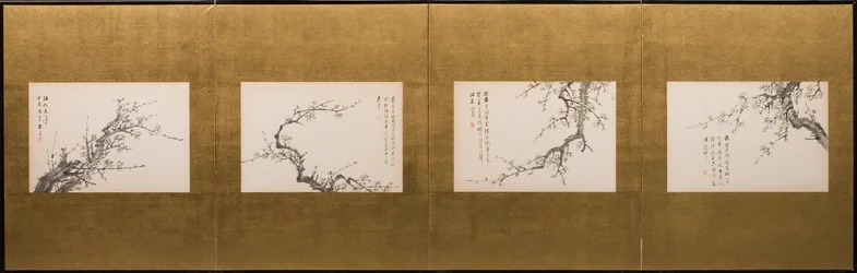 Flores de Prunus
