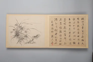 Elegância Refinada nas Quatro Estações Shiji seiga, Álbum de Pinturas de Flores, 1844.