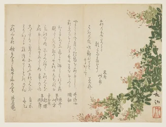 Trevo de arbusto de florescência (impressão de woodblock de cor)