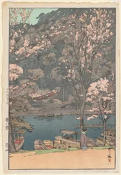 Oito Cenas de Flor de Cerejeira: Arashiyama