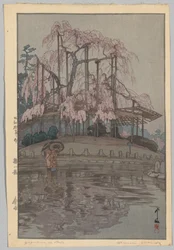 Oito cenas de Cherry Blossoms: Spring Rain (Sakura não gosta de: Harusame)