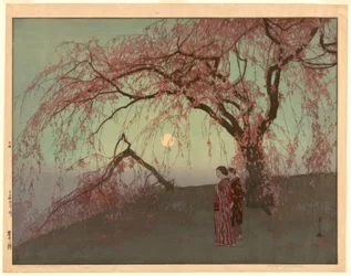 Kumoi Cherry Trees (Kumoi sakura)