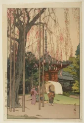 A Cerejeira em Kawagoe