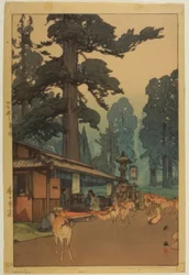Caminho para o Santuário de Kasuga